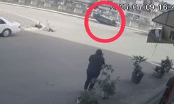 Ordu’da 2 otomobil çarpıştı, biri ters döndü: 5 yaralı