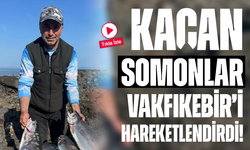 Kaçan Somonlar Vakfıkebir’i Hareketlendirdi! Oltaya Takıldılar, Efsane Av Yaşandı