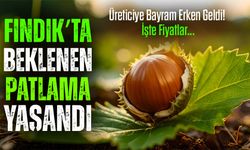 Fındıkta Bugün Rekor Dalgalanma: Piyasada Son Durum Açıklandı