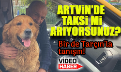 Dört Teker, Bir Sürücü, Bir de Tarçın: Artvin Yollarında Sıcacık Bir Hikâye