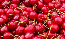 Kirazın Faydaları Nelerdir? Nerede Yetişir, Hangi Hastalıklara İyi Gelir?