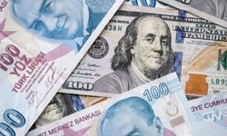 TL’de Kalmayı Düşünenler Dikkat! Ünlü Ekonomistten Sert Uyarı!