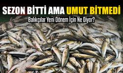 Sezon Bitti Ama Umut Bitmedi: Balıkçılar Yeni Dönem İçin Ne Diyor?