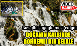 Doğanın Kalbinde Görkemli Bir Şelale: Tomara Ziyaretçilerine Kapılarını Açtı