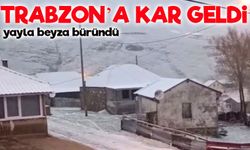 Balahor Yaylası’nda Mayıs Sürprizi: Yayla Beyaza Büründü