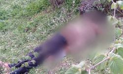 Ordu'da Fındık Bahçesinde Dehşet! 78 Yaşındaki Adamın Cesedi Bulundu