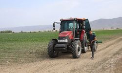 Pamuk Tarlaları Boş Kaldı! Ege’de Çiftçi Su Kriziyle Yüzleşiyor