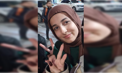 2 kardeşin öldüğü kazaya arı paniği neden olmuş