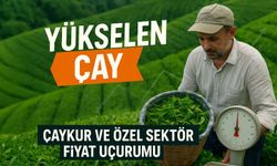 Üreticide Bıçak Açan Fiyat: ÇAYKUR’la Özel Sektör Arasındaki Derin fark