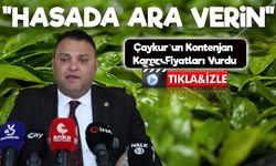 Rize’de Çay Alarmı: “Hasada Ara Verin!” Uyarısı Geldi!