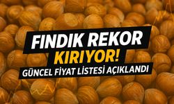 Fındıkta Şaşırtan Yükseliş! Giresun Kalite Fiyatları Rekor Seviyede
