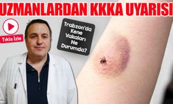 Doğu Karadeniz’de Kene Vakaları Azaldı: KKKA Bu Yıl Sakin Geçiyor