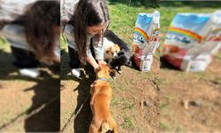 Avrasya Üniversitesi Öğrencileri Gönüllülükle Topluma Katkı Sunuyor