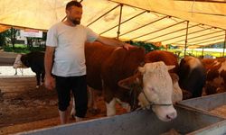 Kurban satıcıları, yurtdışı bağışlardan ve marketlerden şikayetçi