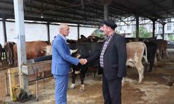 Ordu Büyükşehir, Kurban Bayramı hazırlıklarını tamamladı