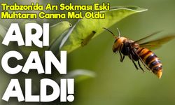 Eski muhtar arı sokması sonucu hayatını kaybetti