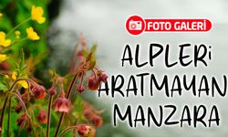 Alpleri Aratmayan Güzelliğiyle Dulağa Yaylası Ziyaretçilerini Büyülüyor