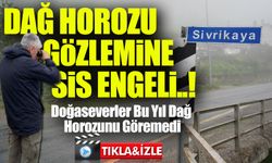 Dağ Horozu Gözlemine Sis Engeli: İkizdere’de 20. Şenlik Görüntüsüz Geçti