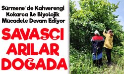 Sürmene’de Kahverengi Kokarca ile Mücadeleye Samuray Arıları Desteği