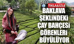 Rize’nin Yeni Gözdesi: Baklava Şeklindeki Çay Bahçesi Sosyal Medyada Olay Oldu
