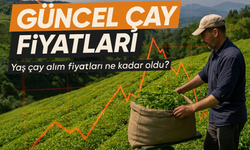 Güncel Çay Fiyatları Açıklandı! Özel Sektörle ÇAYKUR Arasında Uçurum Var