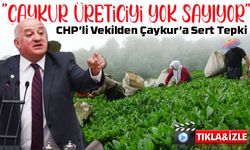 Çaykur’un Politikaları Tepki Çekiyor: Üretici Açlığa Mahkum Ediliyor