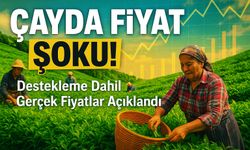 Çayda Fiyat Şoku Patladı!;Destekleme Dahil Gerçek Rakamlara Şok Tepki