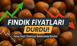Fındıkta Rekor Mu?, Fiyatlarda Son Durum Şok Ettiriyor!