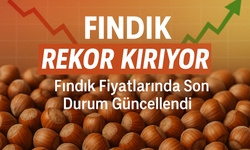 Karadeniz'de Fındık Yüzleri Güldürdü;  Fiyatlar Tavan Yaptı