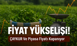 Karadeniz’de Çay Fiyatları Zirveye Ulaşıyor, Destekleme Ve Piyasa Rüzgarı