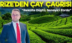 Rize'den Çay Çağrısı: Üretici ve Sanayici Zorda!