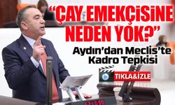 ÇAYKUR İşçileri İçin Meclis’te Kadro Çağrısı: “Herkese Hak Olan, Çay Emekçisine Neden Yok?”