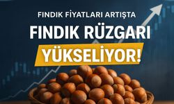 Fındık Fiyatları Tekrar Güncellendi: İşte Güncel Fiyatlar...