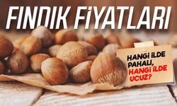 Fındık Fiyatları Rekor Kırmaya Hazırlanıyor! Üretici ve Tüccar Alarmda