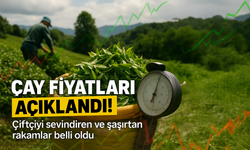 Yaş Çay Fiyatları Bugün Açıklandı! Çiftçiyi Sevindiren ve Şaşırtan Rakamlar