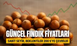 Fındıkta Bugün Büyük Dalgalanma! Fiyatlar Göz Kırpıyor
