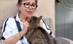 Sihirli Annem’in Perihan’ı Gül Onat Hastanede! Galaya Katılamadı