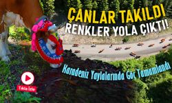 Çanlar Takıldı, Renkler Yola Çıktı! Karadeniz Yaylalarında Göç Tamamlandı
