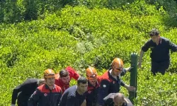 Fındık bahçesinde yamaçtan yuvarlanan kadın hayatını kaybetti