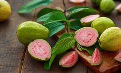 Guava Meyvesi Nedir, Faydaları Nelerdir? İşte Tropikal Şifa Kaynağı