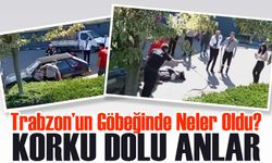 Trabzon’un Göbeğinde Yılan Paniği! Piknik Alanında Korku Dolu Anlar