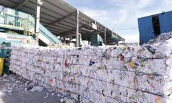 Geri Dönüşüm Devinde Şok! Yürekli Kağıt Konkordato İlan Etti