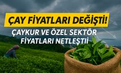 Çay Fiyatlarında Bugün Büyük Denge Değişimi! ÇAYKUR Ve Özel Sektör Fiyatları Netleşti