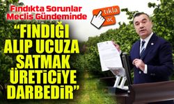 Fındıkta sorunlar Meclis gündeminde: Yavuz Aydın’dan araştırma çağrısı