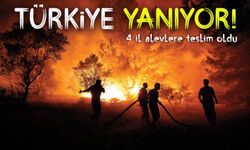 Türkiye genelinde orman yangınları yeniden başladı: 4 ilde alarm durumu
