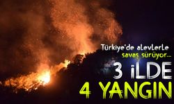 Orman yangınlarında son durum: Alevlerle mücadele 3 ilde sürüyor
