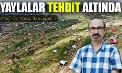 Doğu Karadeniz Yaylaları Kaçak Betonlaşma Tehdidi Altında
