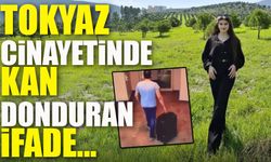 Ayşe Tokyaz Cinayetinde Kan Donduran İfade: “Valiz Var, Gömülmesi Lazım”