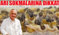 Yaz Aylarında Artan Arı Sokmalarına Karşı Uzmanlardan Kritik Uyarı