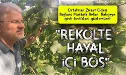 Mustafa Bekar’dan Fındık Uyarısı: “Rekolte Hayal, İç Boş”